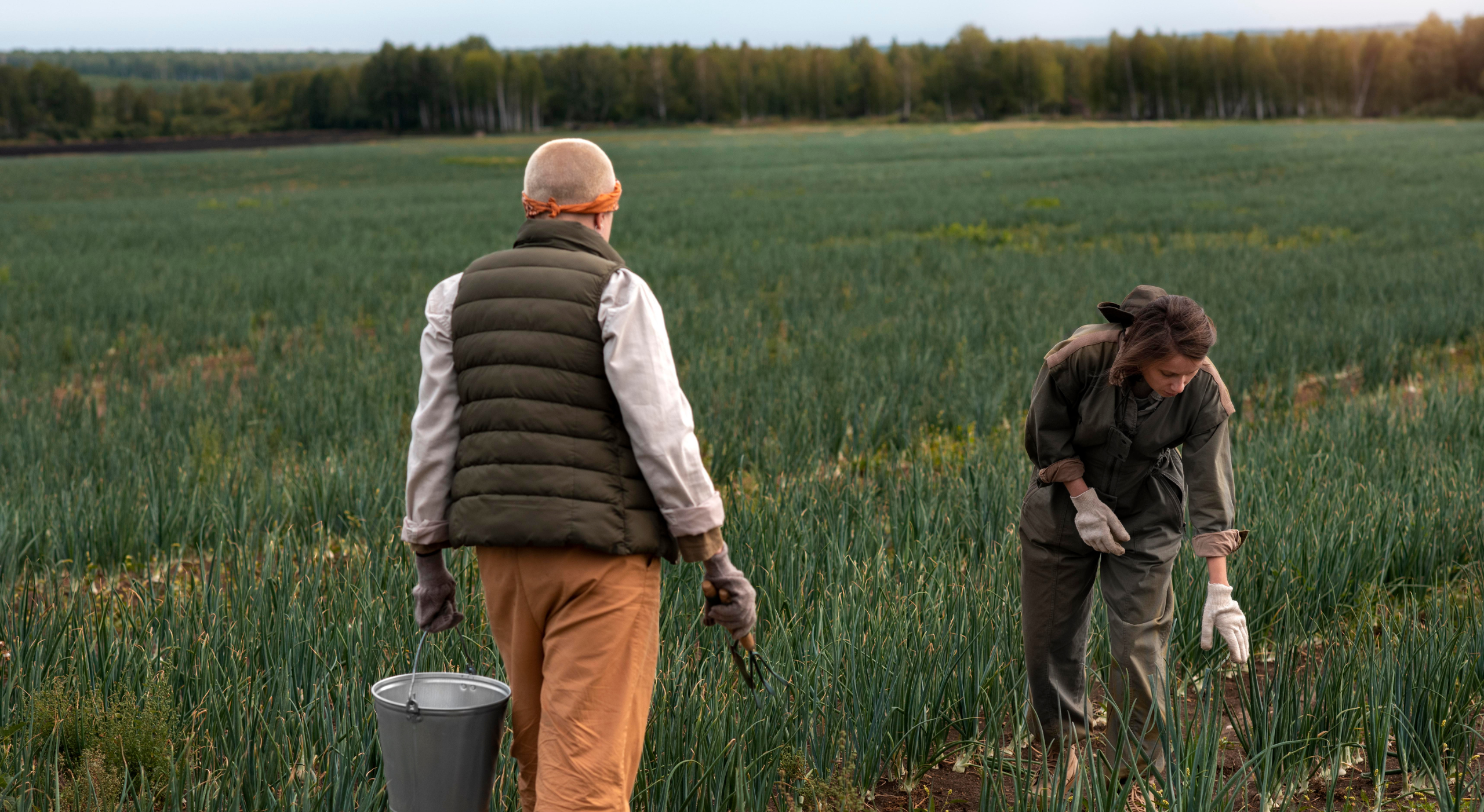 Notícias e Destaques