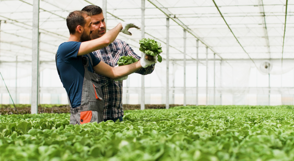 Agendas de Inovação e Sustentabilidade Agrícola Adaptação Climática em Portugal